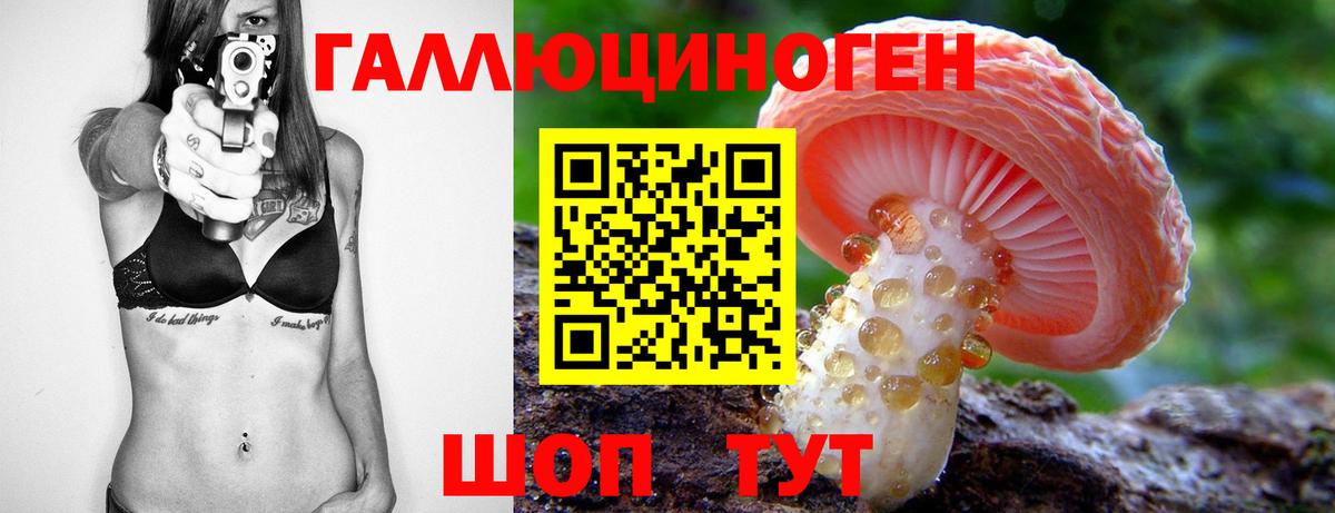 Галлюциногенные грибы прущие грибы Георгиевск